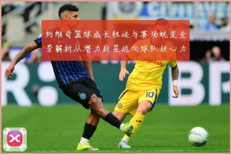 约维奇篮球成长轨迹与赛场蜕变全景解析从潜力新星迈向球队核心力量之路-深度解析
