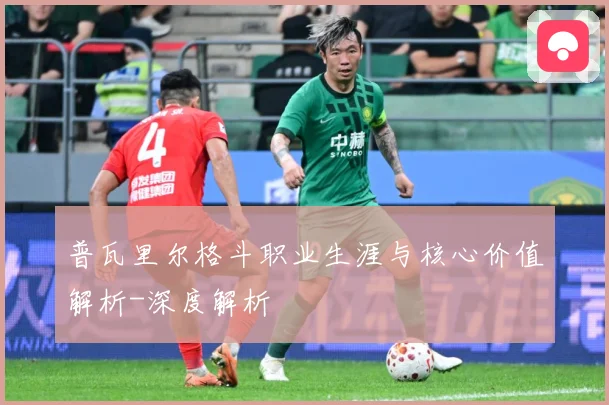 普瓦里尔格斗职业生涯与核心价值解析-深度解析