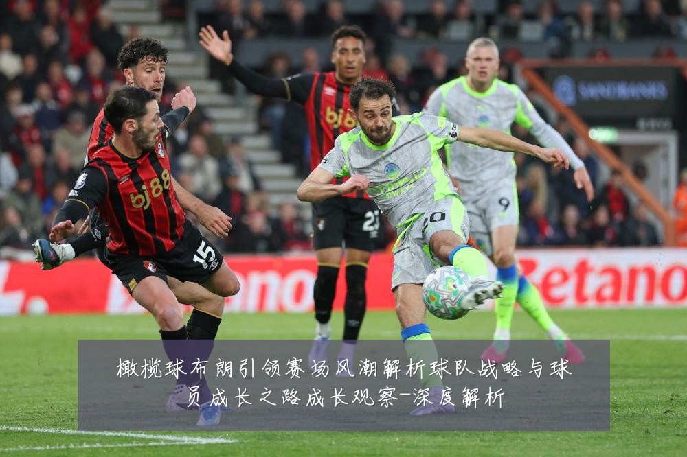 橄榄球布朗引领赛场风潮解析球队战略与球员成长之路成长观察-深度解析